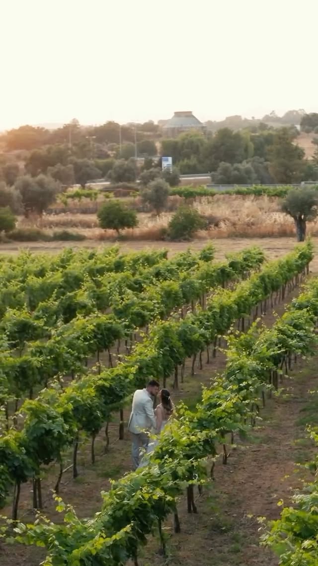 495626839 18150432394373485 2800006262144258256 N